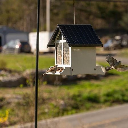 Cozy Cottage, Hot Tub, Fire Pit, 15Min To Hudson And Hiking Catskill Bagian luar foto