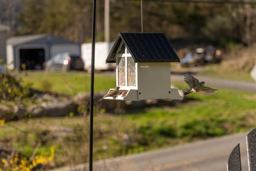 Cozy Cottage, Hot Tub, Fire Pit, 15Min To Hudson And Hiking Catskill Bagian luar foto
